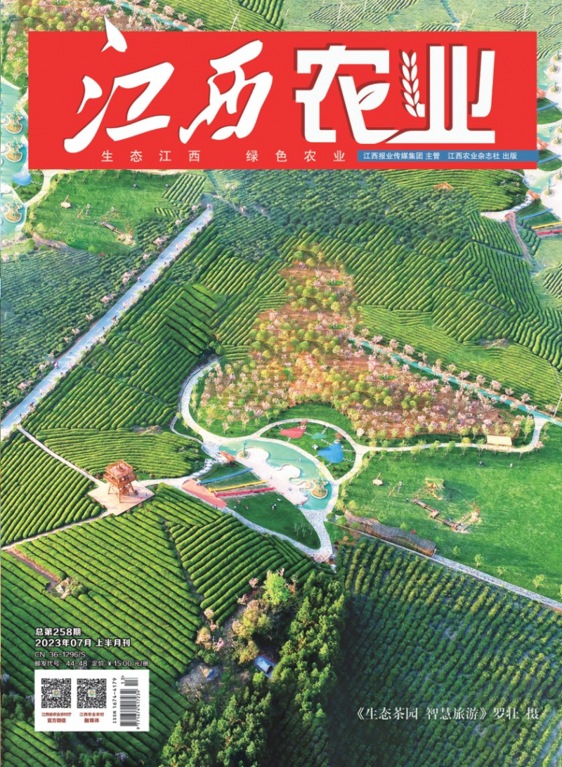 第258期