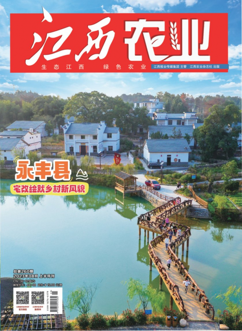 第260期